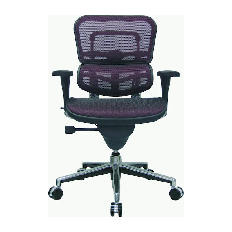 Ergohuman Mesh Managers Chair