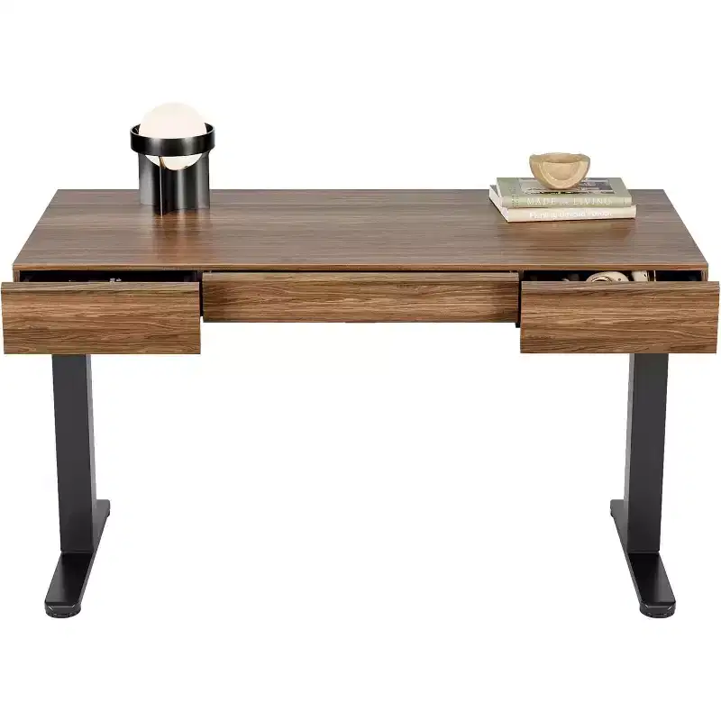 48 Inch Electric Standing Desk with Drawers, Height Adjustable Stand Up Desk with Storage, Black Walnut Computer Workstation for Home Office