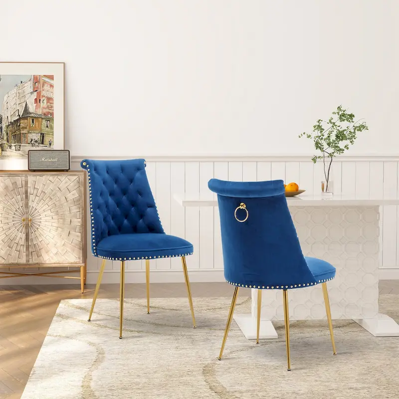Clihome Modern Velvet Upholstered Featured Dining Chairs (Set of 2)