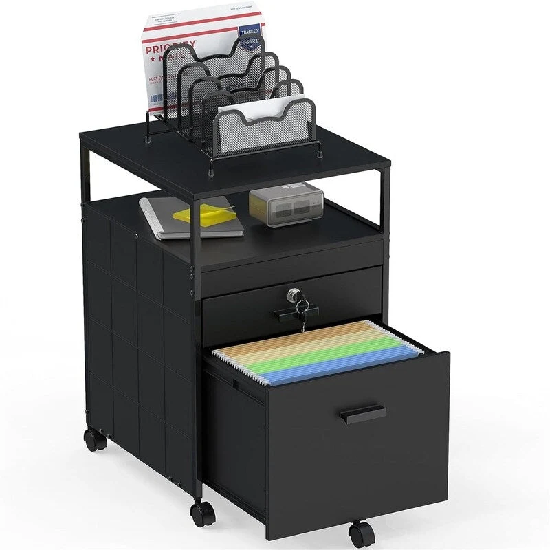 Rolling File Cabinet w/ 2 Drawers