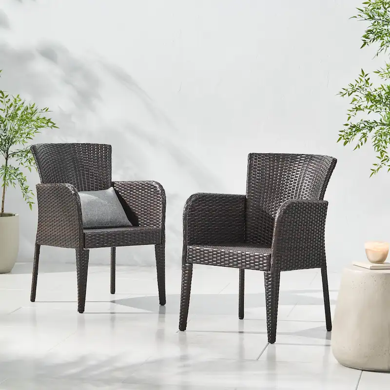 Anaya Outdoor Wicker Dining Chair (Set of 2) by Christopher Knight Home - N/A