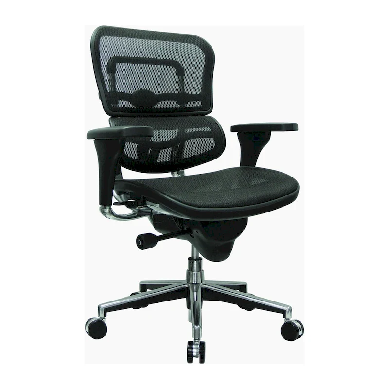 Eurotech Seating Ergohuman Mesh Managers Chair