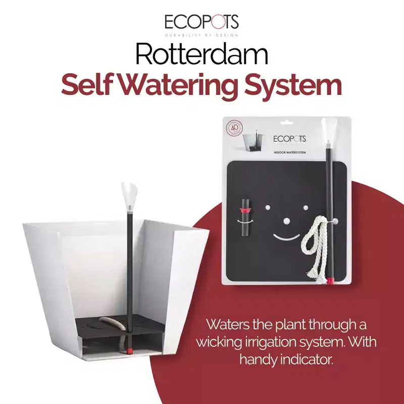 Ecopots Rotterdam Square Indoor Plant Self-Watering System for Rotterdam 15.75 Planter