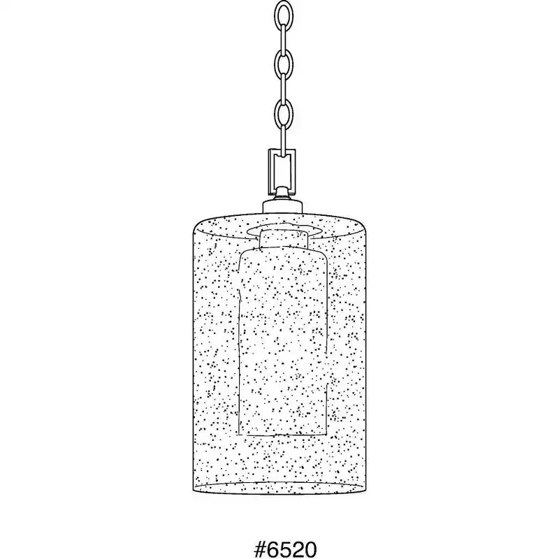 Progress Lighting Compel 1-Light Outdoor Hanging Lantern, Black Finish, Seeded Glass Shade