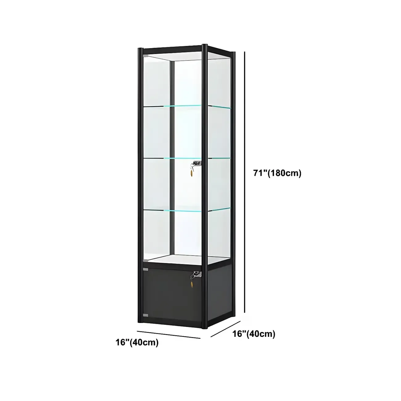 Rectangular Black Clear Glass Metal Frame Curio Cabinet