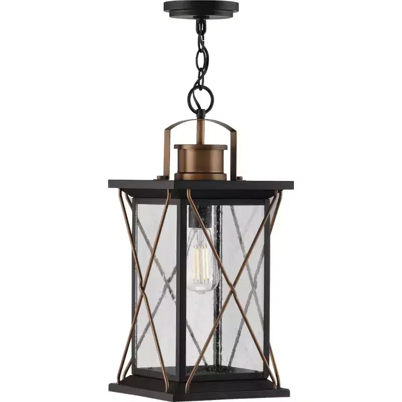 Progress Lighting Barlowe 1-Light Outdoor Hanging Lantern, Stainless Steel, Seeded Glass