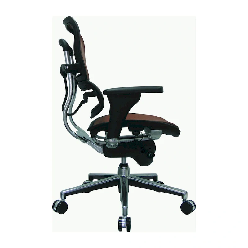 Ergohuman Mesh Managers Chair