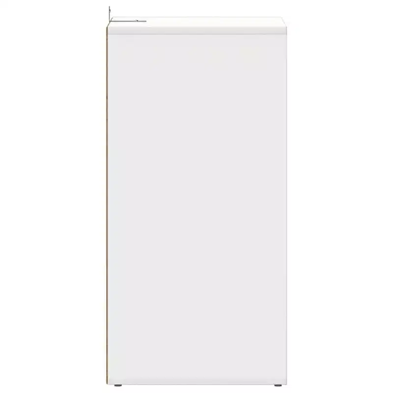 vidaXL Shoe Cabinet White Engineered Wood 12.4x13.8x27.6 in Shoe Cabinet