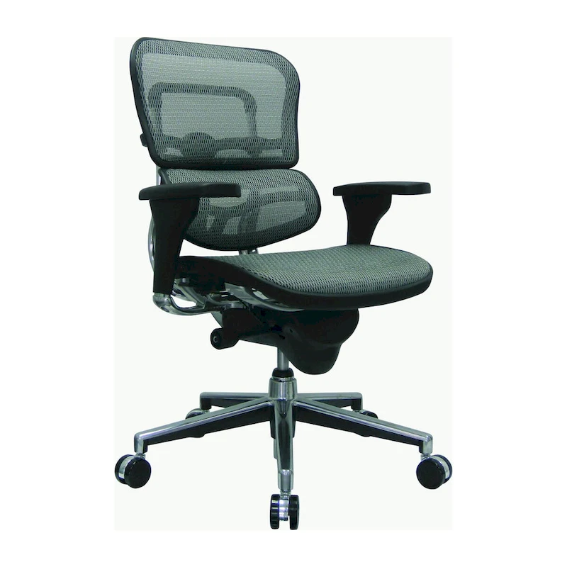 Eurotech Seating Ergohuman Mesh Managers Chair