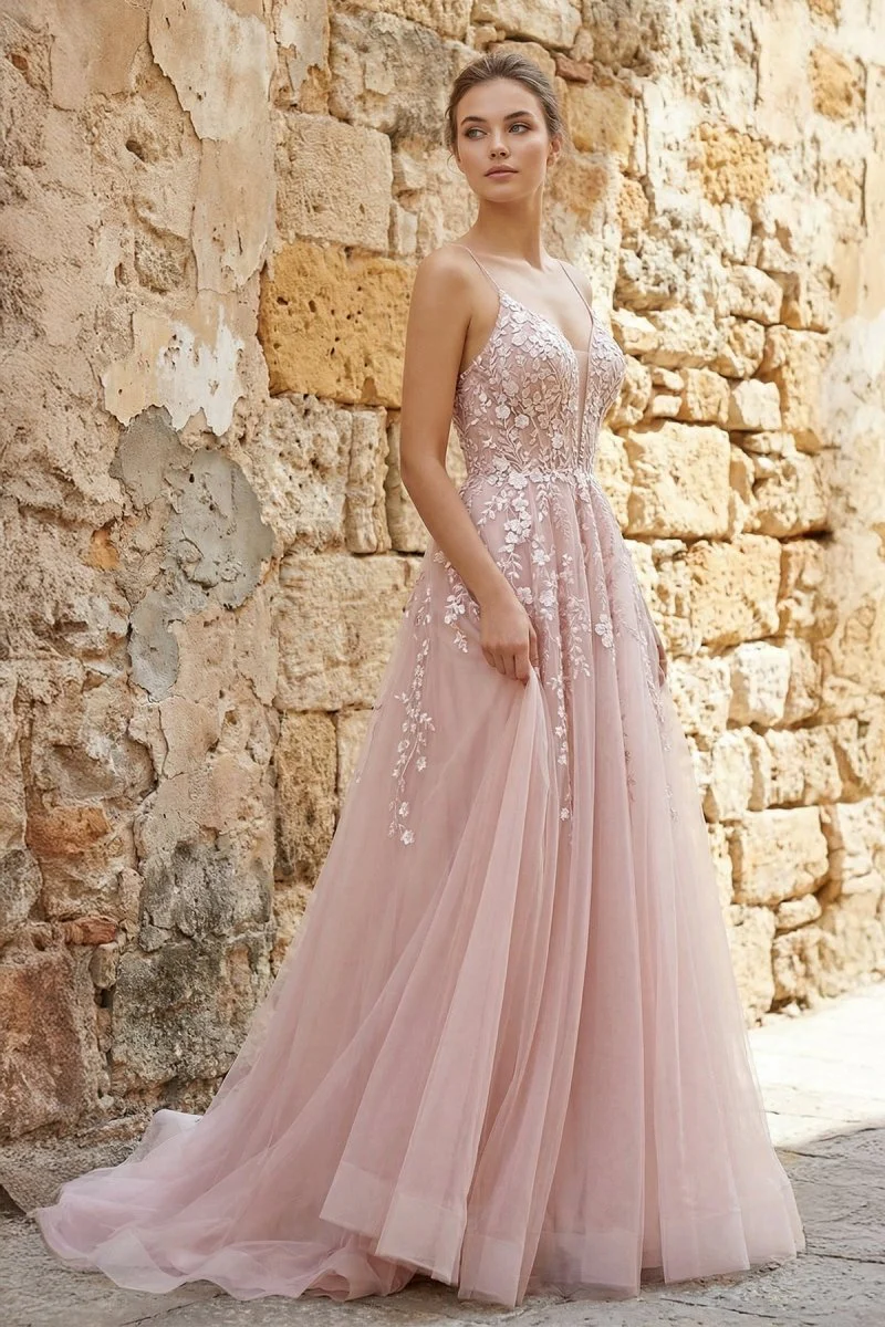 A-line Spaghetti Straps Tulle Prom Dress with Appliques