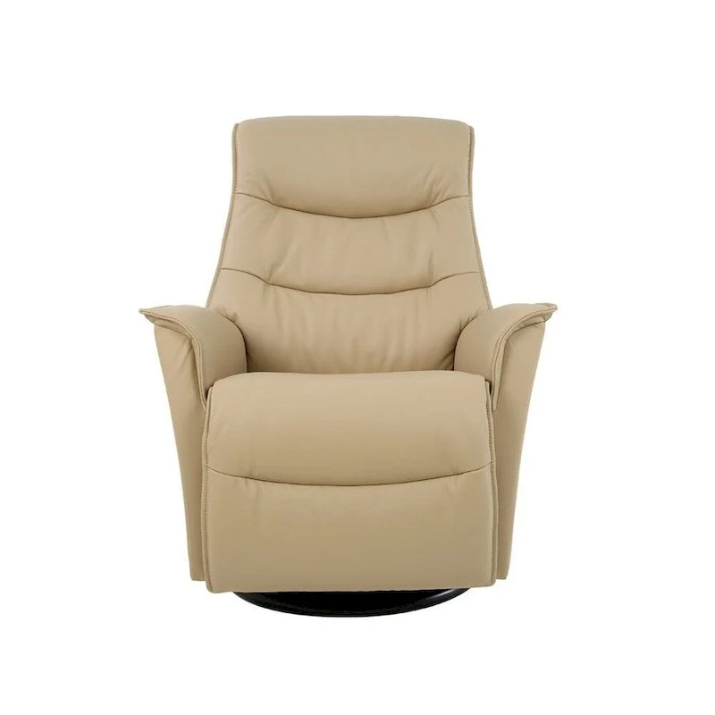 Leather Swing Recliner