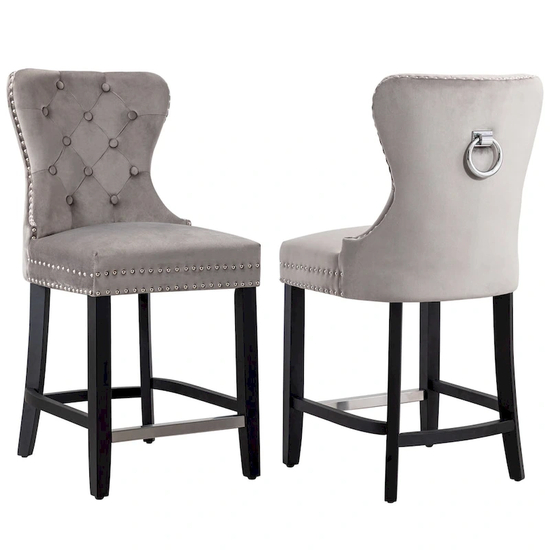 Carter 24  Wingback Tufted Nailhead Counter Stool (Set of 2)