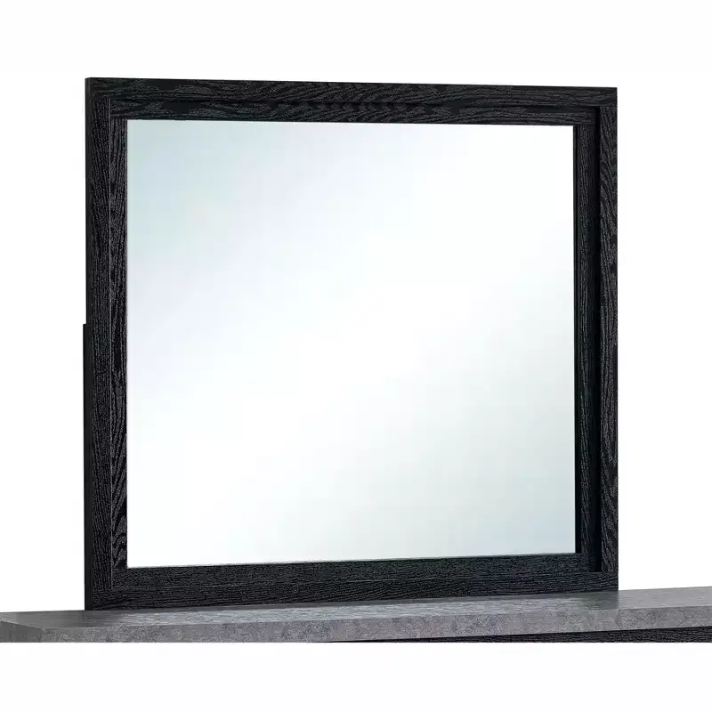 Passion Furniture Grande 41 in. W x 37 in. H Rectangle Wood Frame Black Dresser Mirror