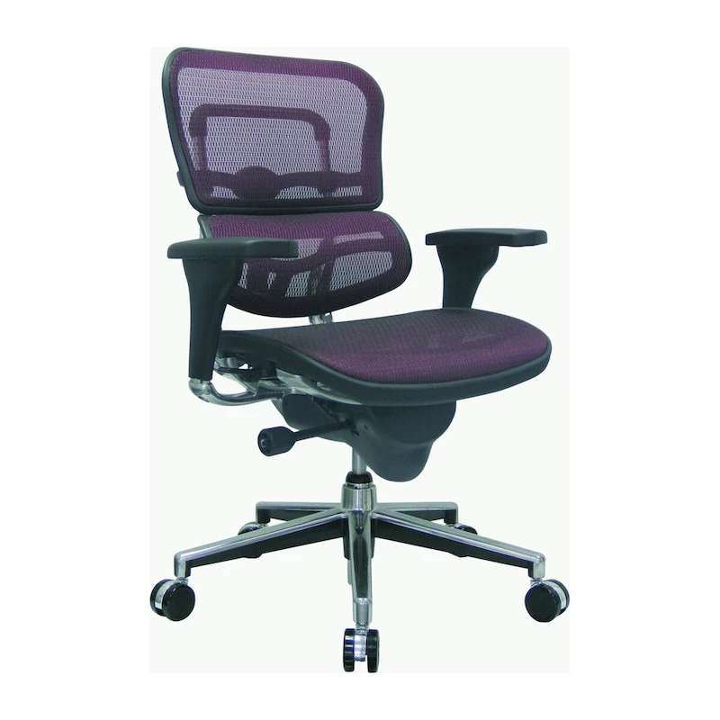 Eurotech Seating Ergohuman Mesh Managers Chair