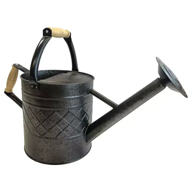 Gardener Select Metal Diamond Watering Can, Black, 1 Gallon
