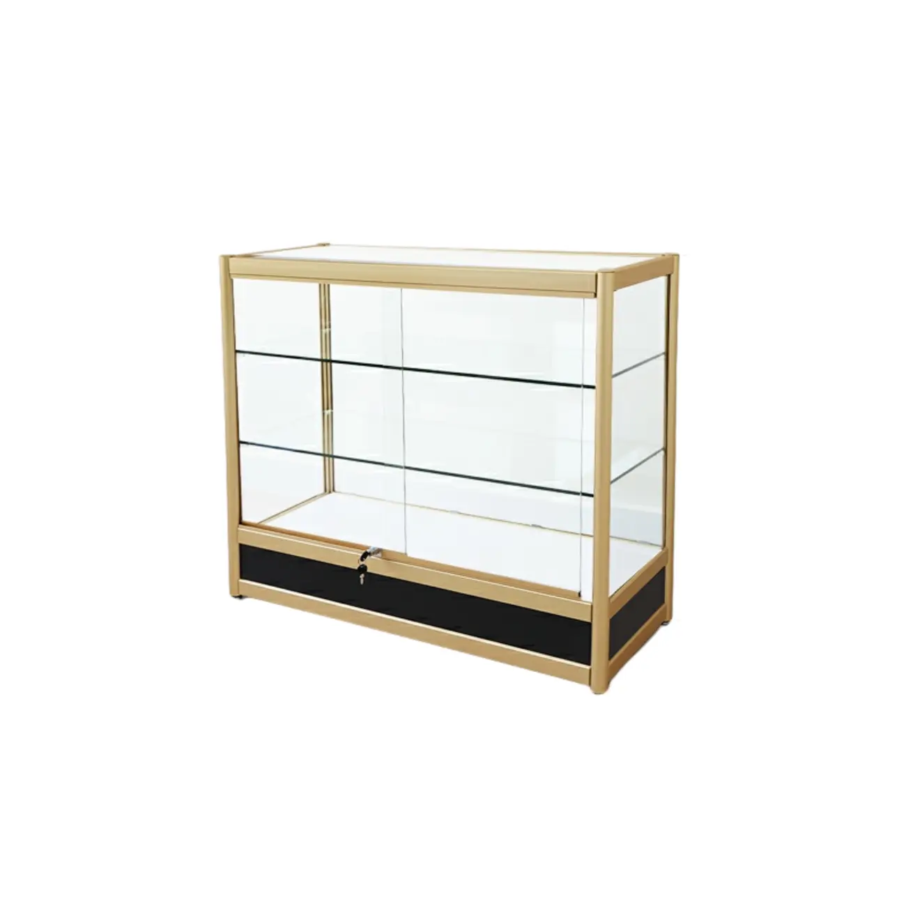 Gold Rectangular Metal Frame Glass Curio Cabinet