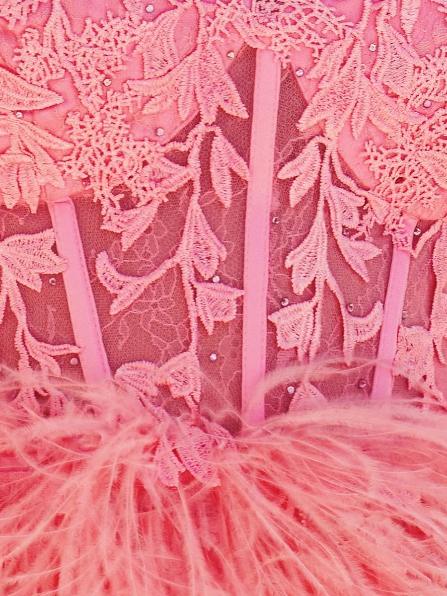 Sheath Sweetheart Lace Feather Skirt Homecoming Dress