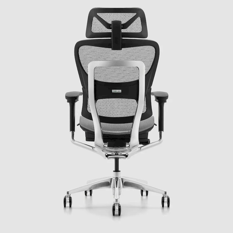 OdinLake High Back Office Chair Home Desk Chair Computer Chair Whitout Footrest