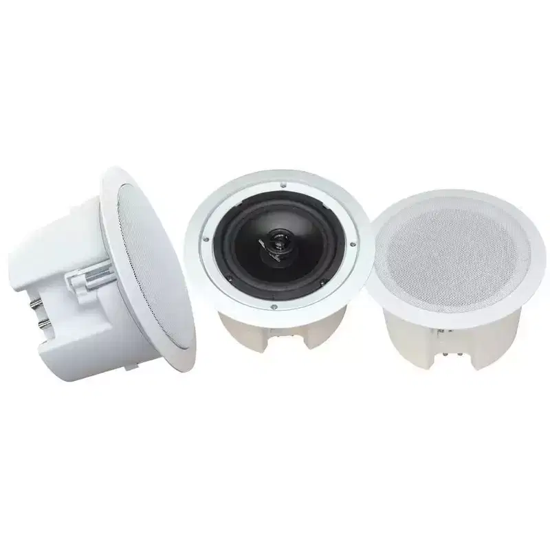 Ceiling Wall Mount Enclosed Speaker for Home Audio with High-Quality Sound, Easy Installation, White Finish