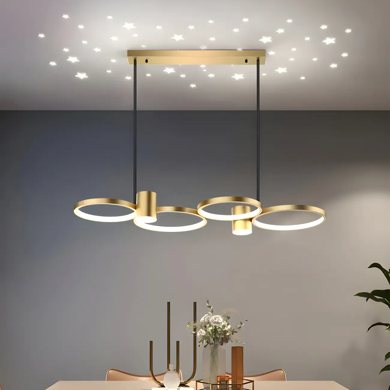 Modern Black Ring Dimming Pendant Light