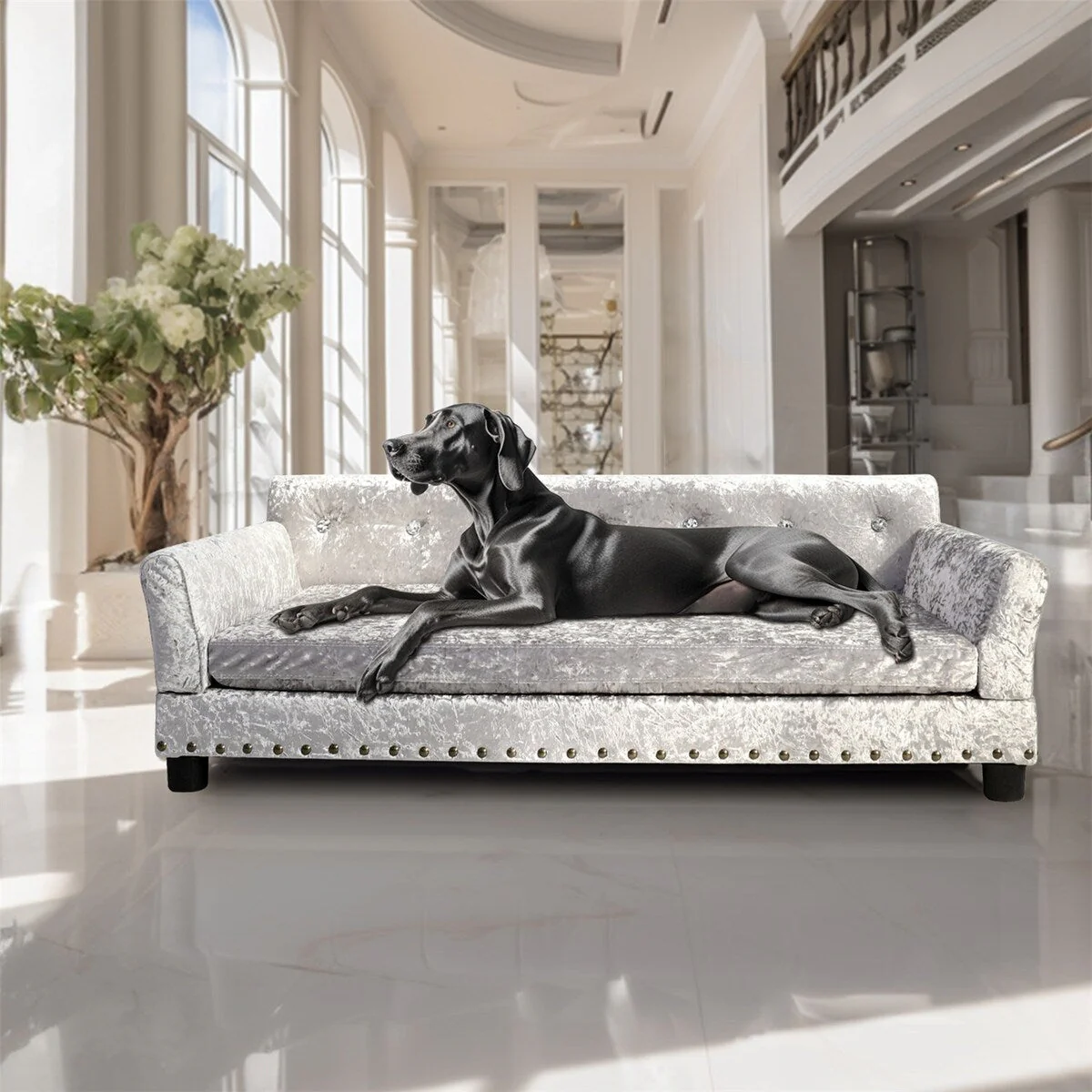 Velvet Tufted Couch Pet Bed Upholstered with Removable Cushion