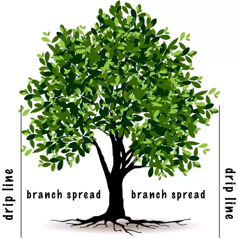 Jobe's Tree and Shrub Fertilizer 15-3-3 Spikes, 9 Spikes Per Package