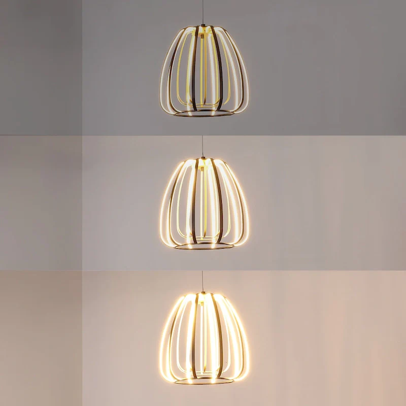 Adjustable Dimmable Cage Integrated LED Pendant, By JONATHAN Y