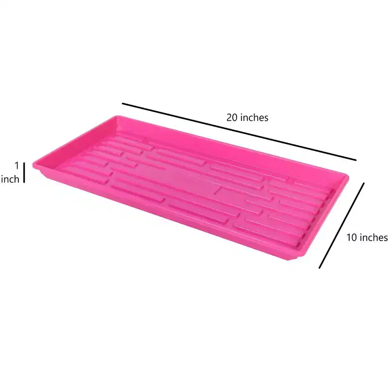SUNPACK 10 x 20 Heavy Duty Shallow Plastic Seed Starting Tray, 1