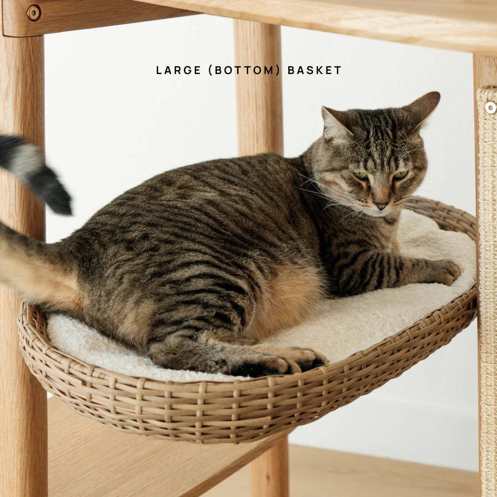Basket (For Reiya)
