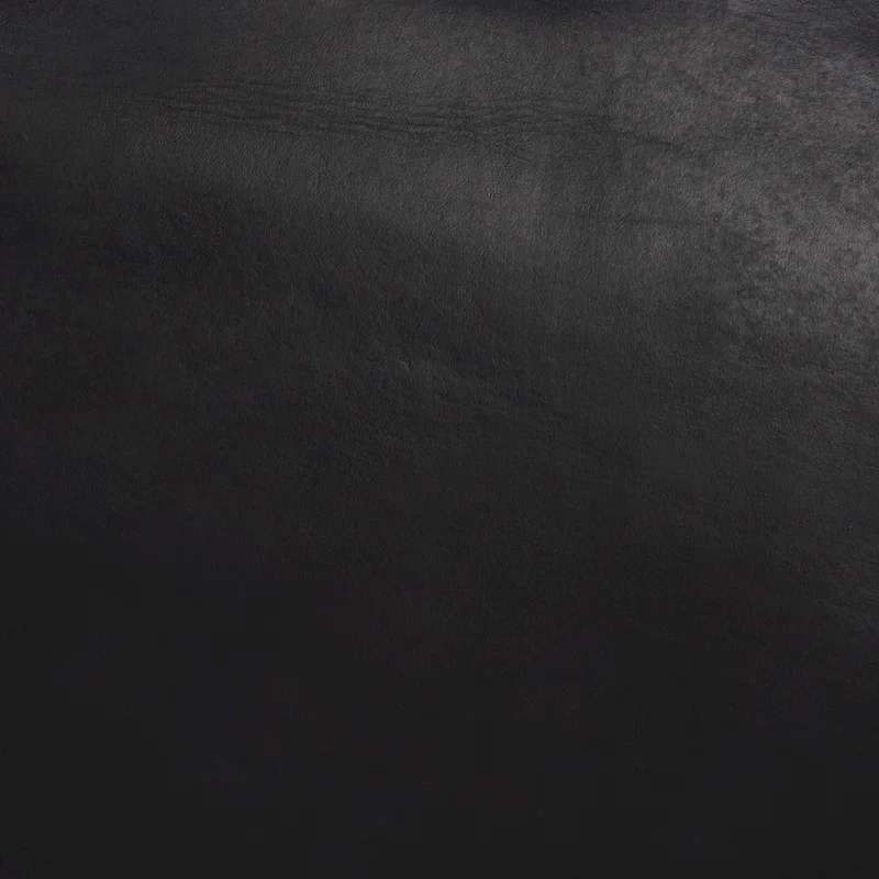 SAFAVIEH Bernardine Leather Dining Chair (Set of 2) - 21.7 W x 19.7 L x 31.9 H - 22Wx20Dx32H