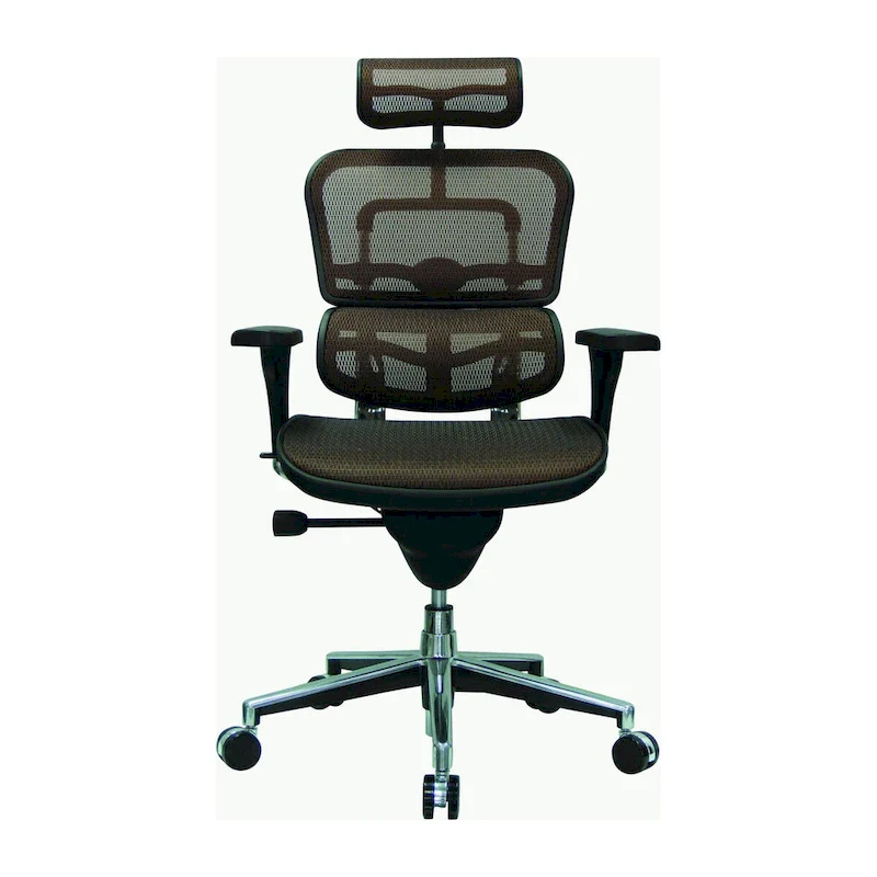 Ergohuman Mesh Managers Chair