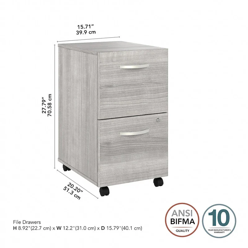 2 Drawer Mobile File Cabinet with Lock and Casters