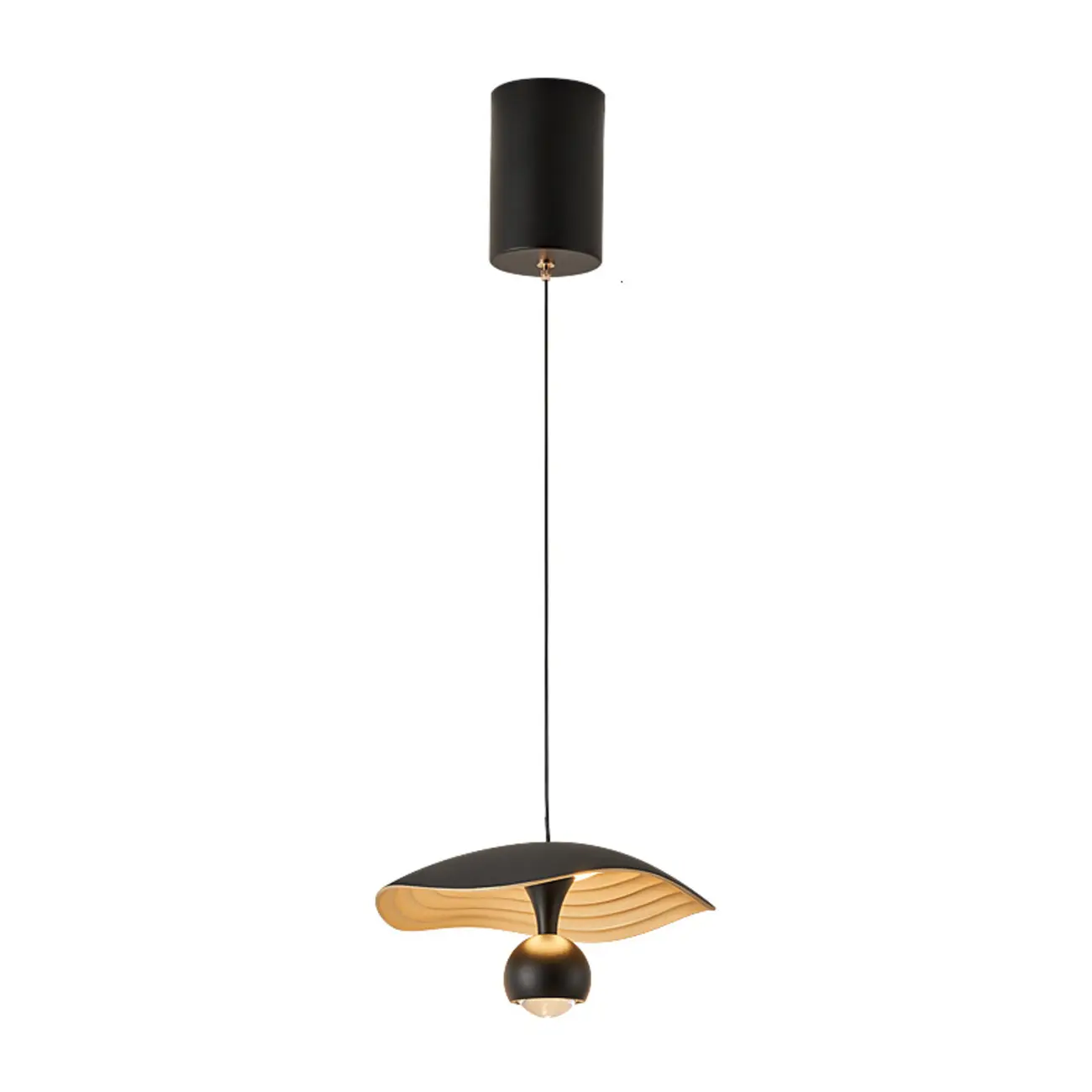 Dimmable Modern Acrylic Black 2-Light LED Pendant Light
