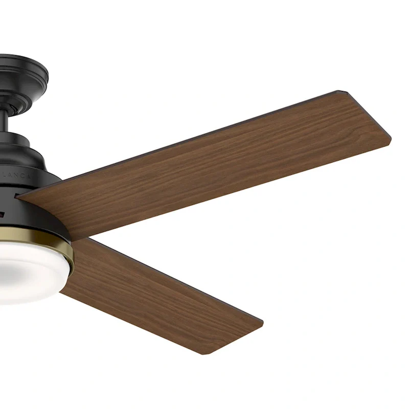Casablanca 54  Daphne Ceiling Fan with LED Light Kit and Wall Control - Transitional