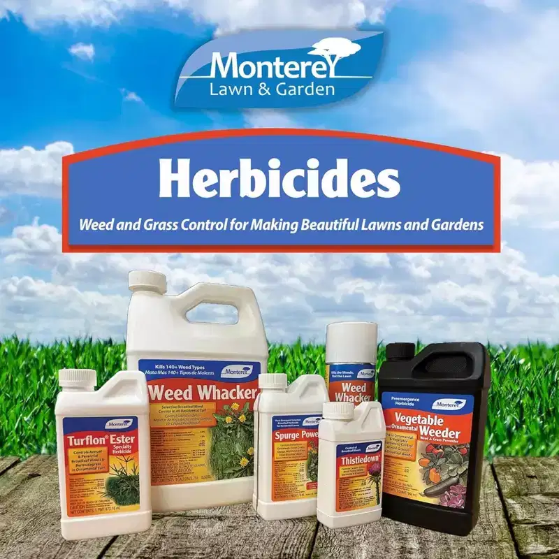 Monterey Turflon Ester Specialty Herbicide Concentrate Broadleaf Weed Killer, 16 oz