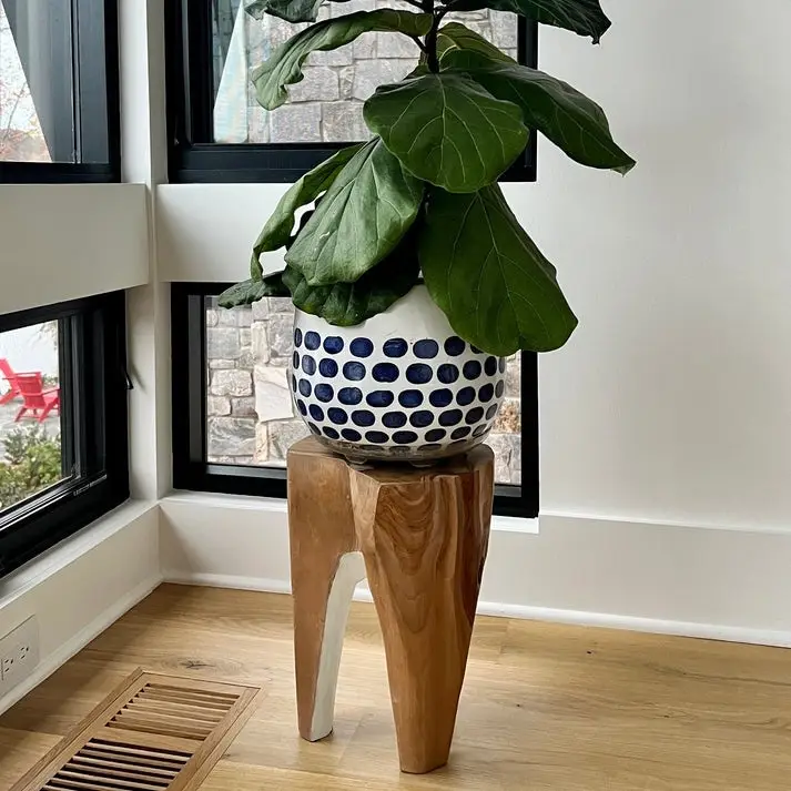 Java Teak Root Stool