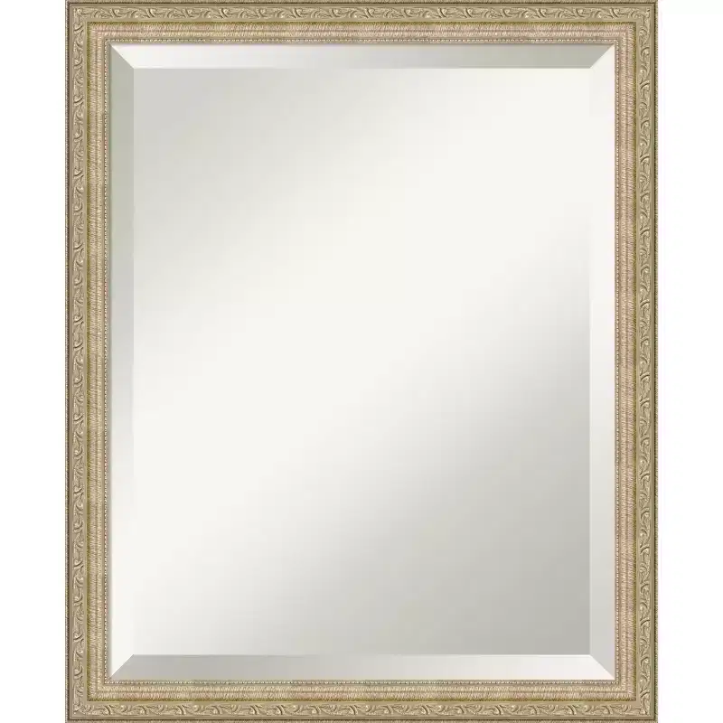 Amanti Art Paris Champagne Beveled Framed Wall Mirror