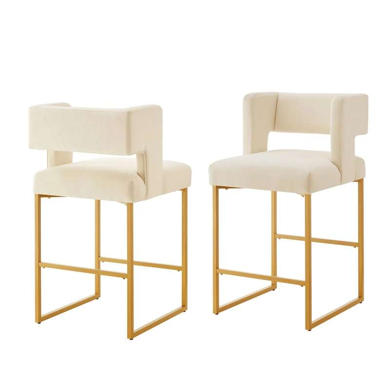 Modern Fashion Counter Height Bar Stools Set of 2