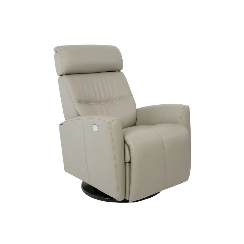 Leather Swing Recliner