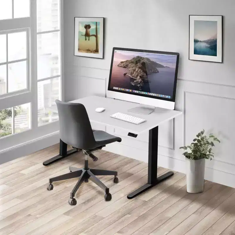 Mount-It! Dual Motor Electric Standing Desk with 48 Tabletop, Black & White