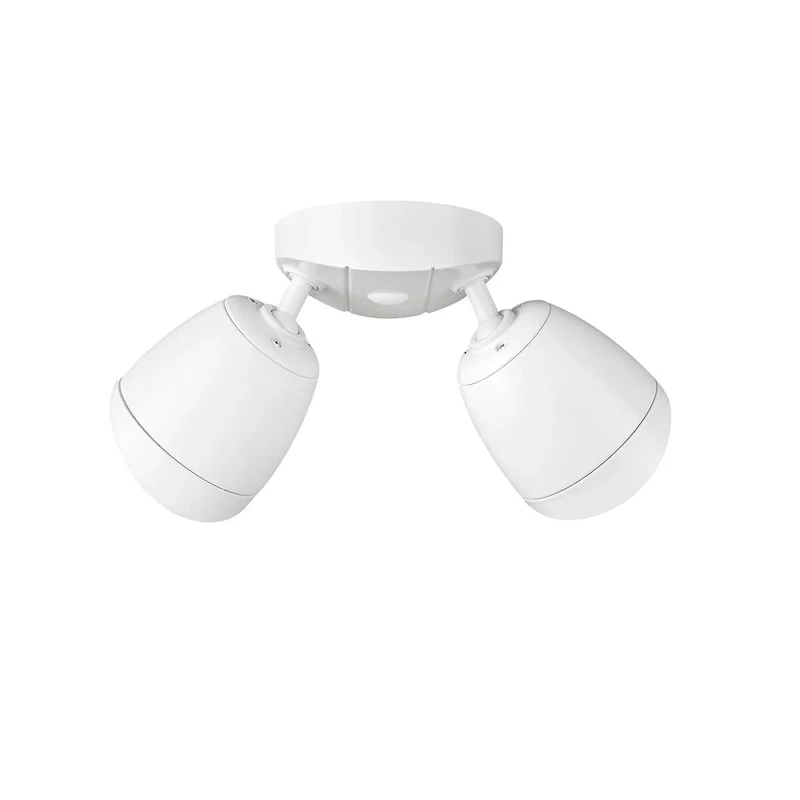 Millennium Lighting 2 Light Flood Lights