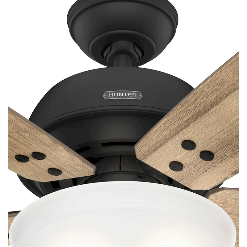 Hunter 60  Reveille Ceiling Fan with LED Light Kit and Pull Chain, Rustic, Transitional