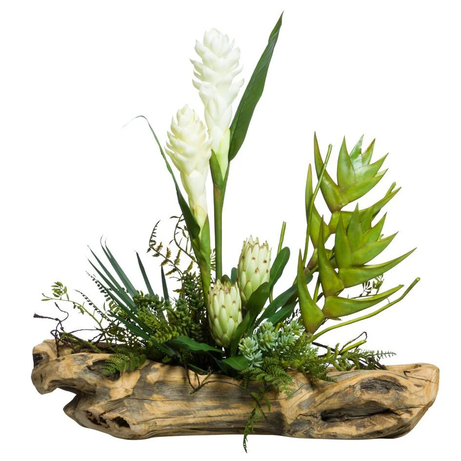 ASSORTED TROPICAL / SUCCULENT PLANTS IN SCULPTED WOOD BRANCH