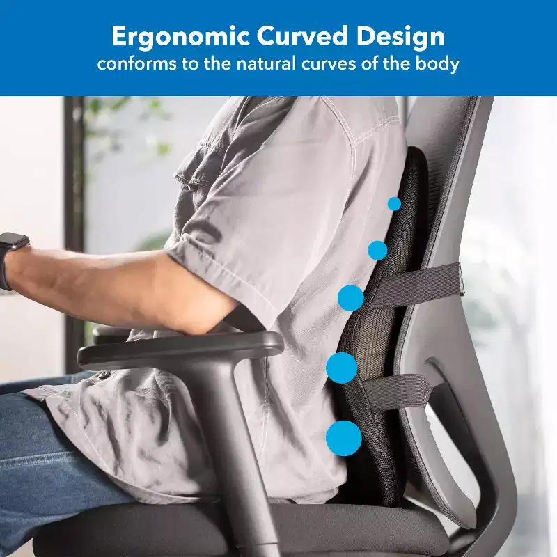 Mount-It! Lumbar Support Pillow, Ergo Collection Compact Back Support for Office, Gaming Chair, Memory Foam Filling, Relief Back Pain Improve Posture