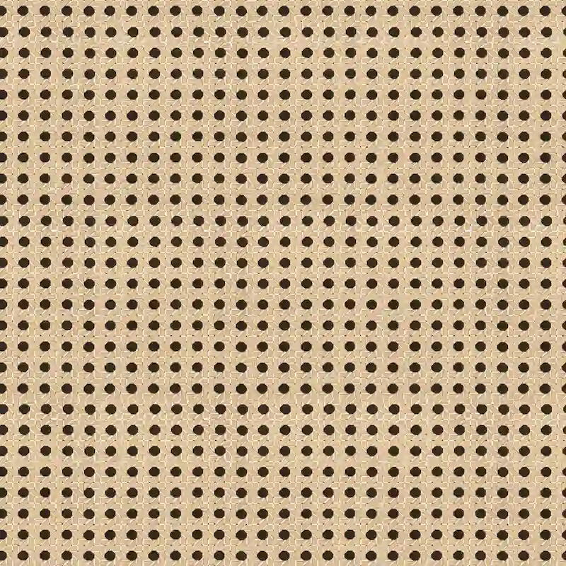 Celann Natural Finish Fabric Cane Accent Chair by iNSPIRE Q Modern