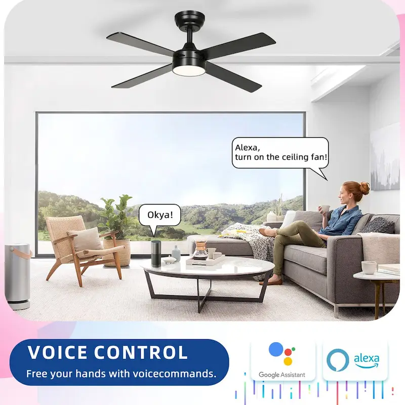 Moasis 48 Inch 4 Blades Ceiling Fans with Light and Remote Control&App Control