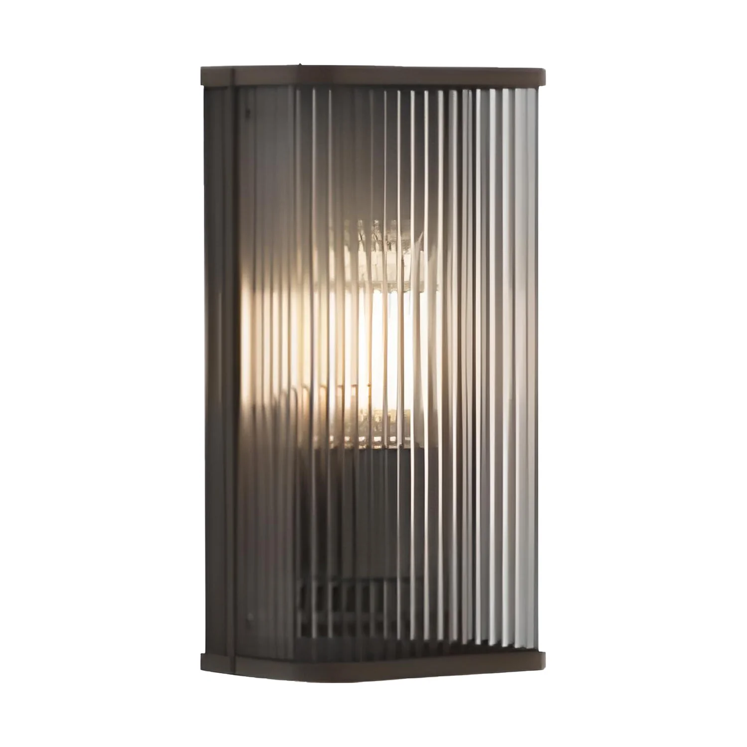 Modern Black Steel Clear Acrylic Vertical Outdoor Wall Sconce