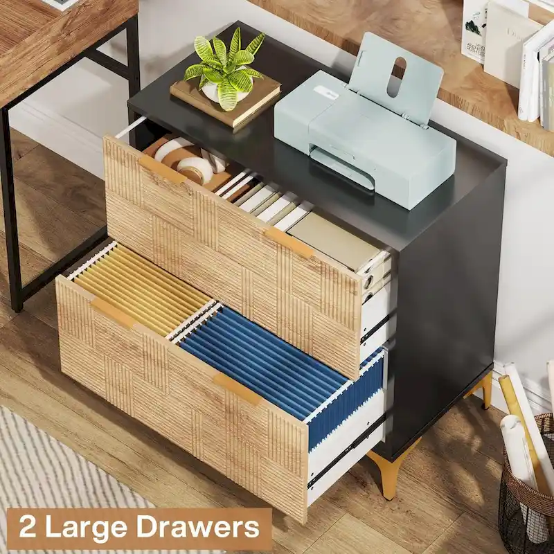 File Cabinet with 2 Drawers, Lateral Filing Cabinet with Adjustable Hanging Bar