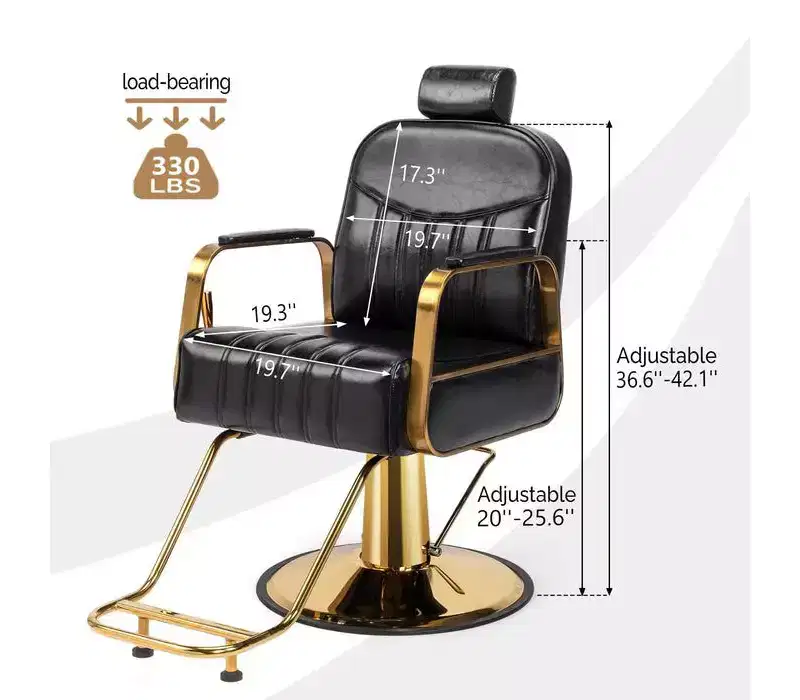 Karl Home All Purpose Heavy Duty Reclining Hair Salon Chair with Headrest
