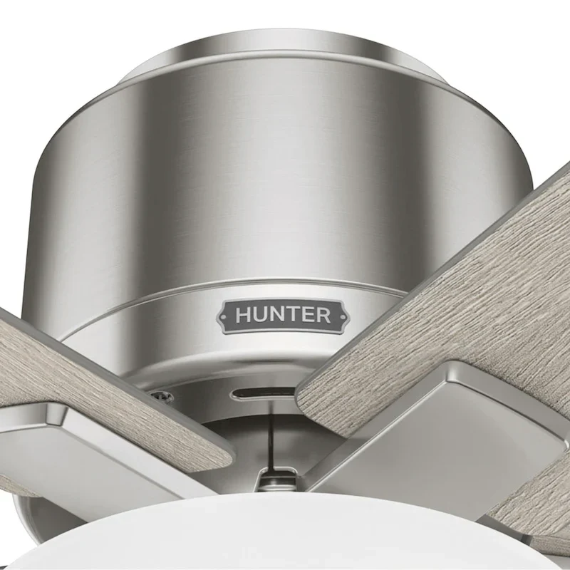 Hunter 44  Fitzgerald Low Profile Ceiling Fan with LED Light Kit and Pull Chain